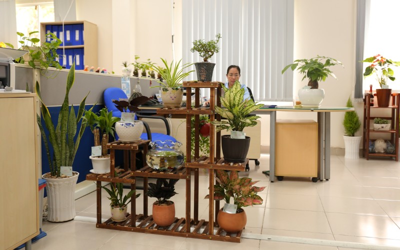 Phong Trào Thi Đua Xây Dựng Hiệp Phước Xanh Lần 1/2020 | Hiep Phuoc Industrial Park Joint Stock Company