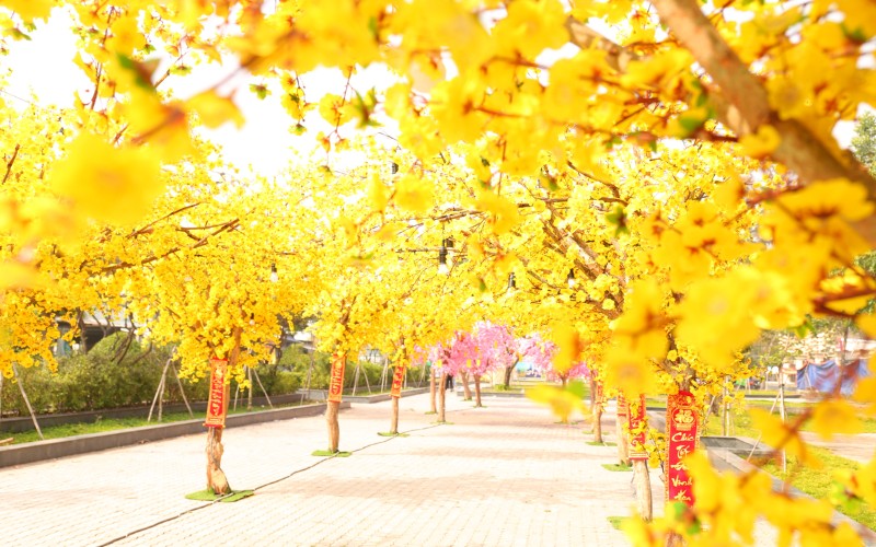 Spring Festival 2021